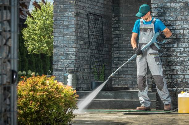 Best Driveway Cleaning and Restoration in Oracle, AZ