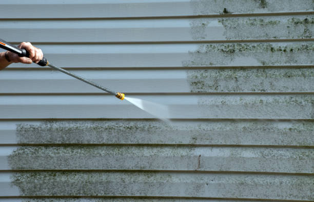 Professional Pressure Washing Services in Oracle, AZ